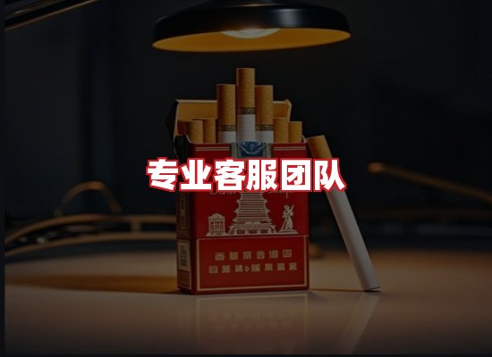 专业团队